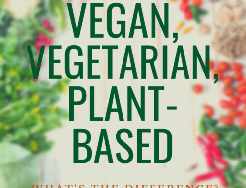 Vegan, Vegetarian, Plant-Based; What’s the Difference?